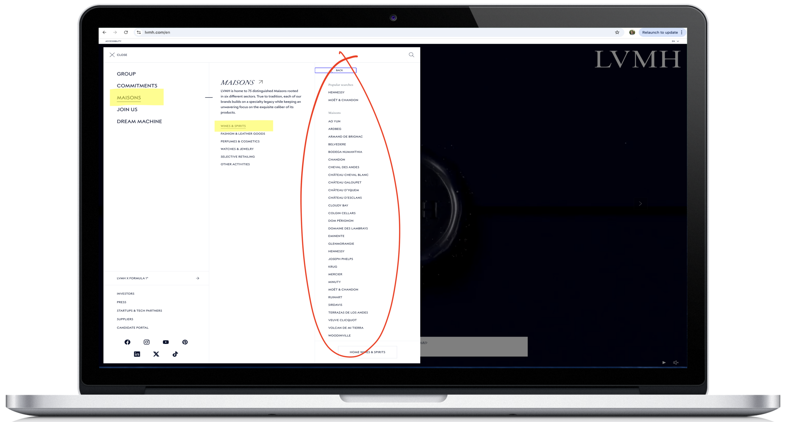 LVMH - Website Screenshot - Maisons - Wine & Spirits - Brand Architecture - The Brando Group - Case Study - Brand Positioning - House of Brands - Brand Architecture