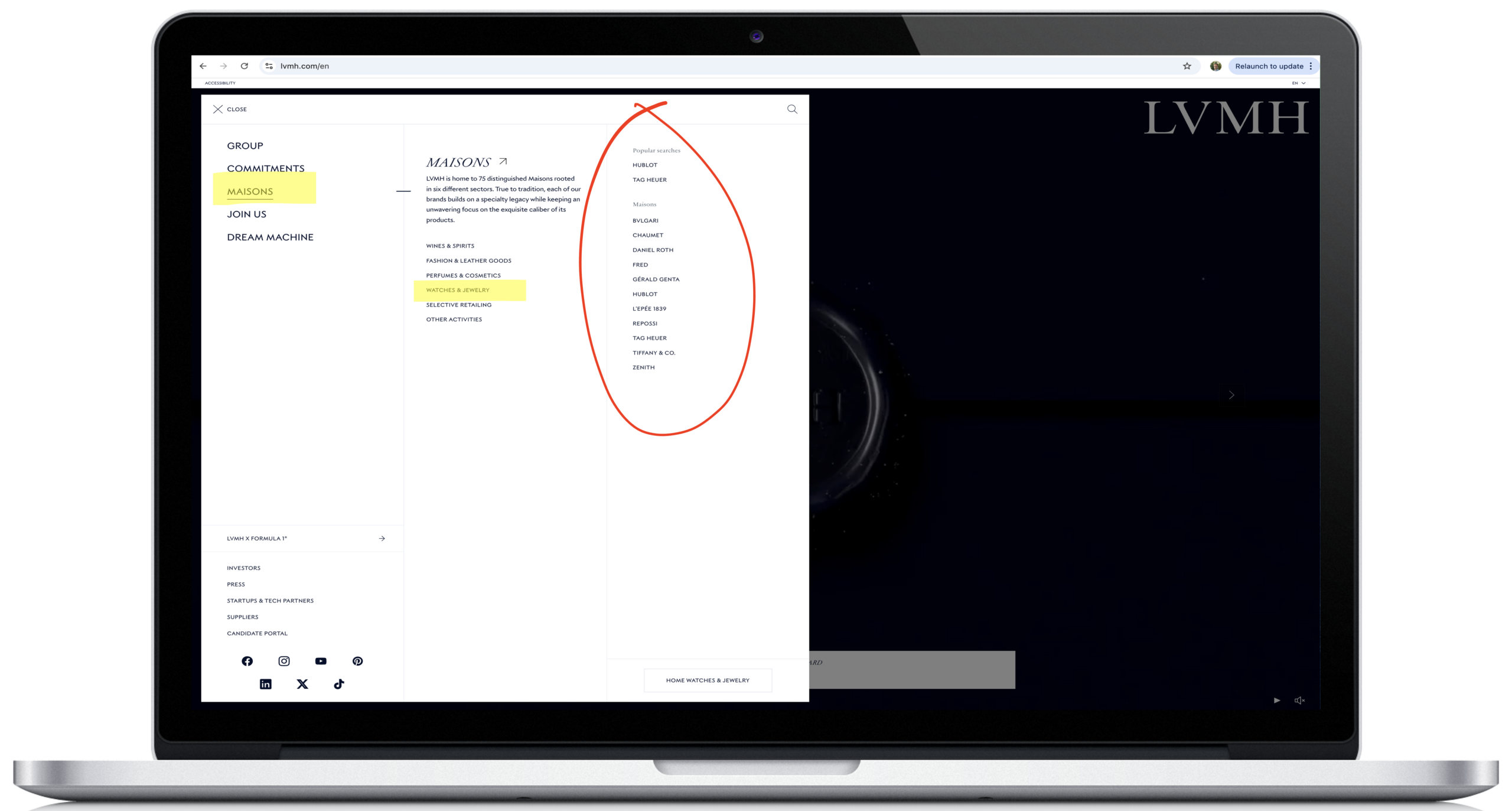 LVMH - Website Screenshot - Maisons - Watches - Brand Architecture - The Brando Group - Case Study - Brand Positioning - House of Brands - Brand Architecture